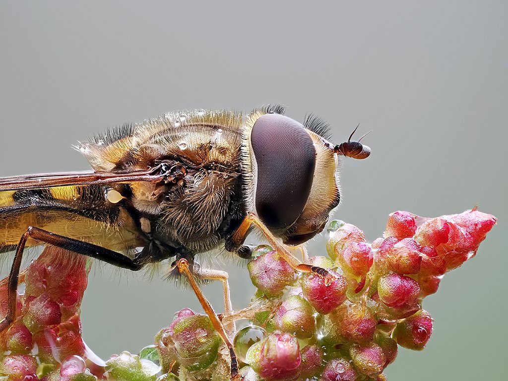 P5059131- 119k.jpg - OLYMPUS DIGITAL CAMERA